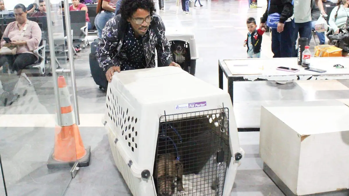 Desde Tampico viajó más de seis horas en autobús hasta Xalapa, donde finalmente pudo pasear con ellos en un parque
