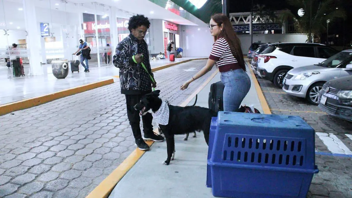 Sedados y en transportadoras, así fue el emotivo regreso de Eder y sus mascotas a Xalapa