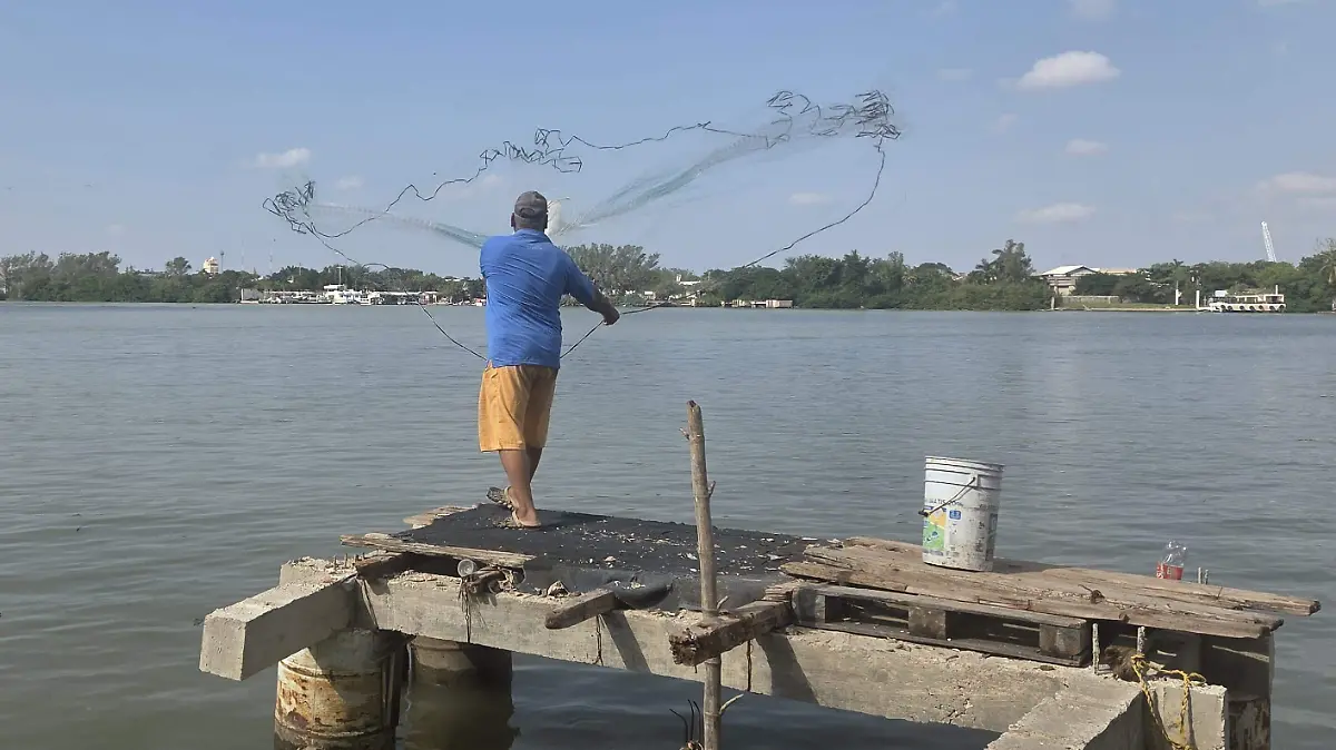 Comparan el programa Bienpesca con Sembrando Vida