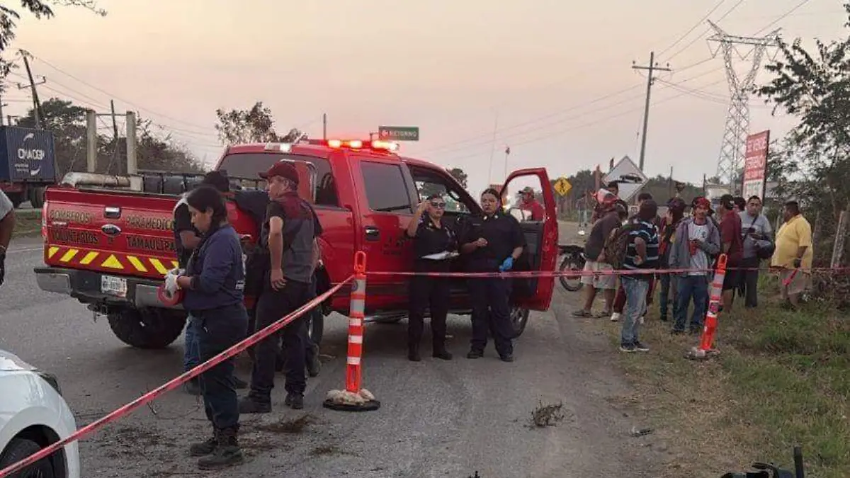 WhatsApp Image 2026-02-12 at 18.49.15 (1)