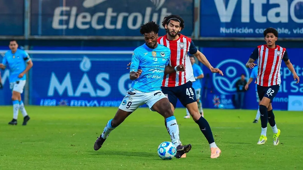 WhatsApp Image 2026-02-13 at 19.51.49 (2)