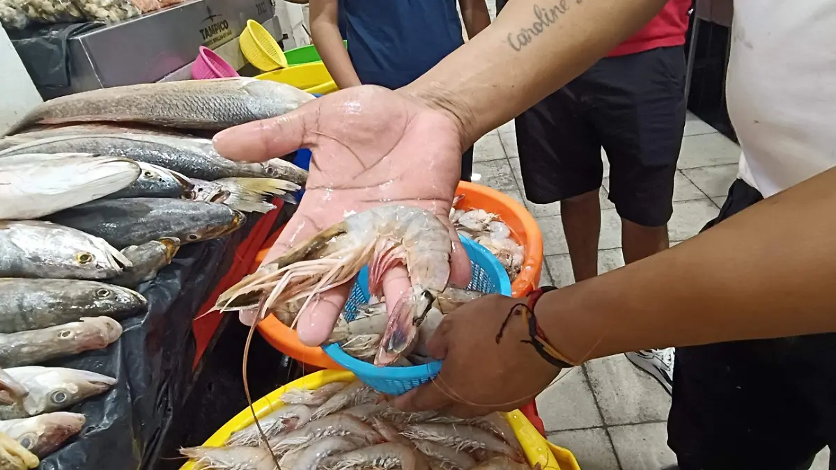 El camarón es uno de los productos más solicitado por los compradores