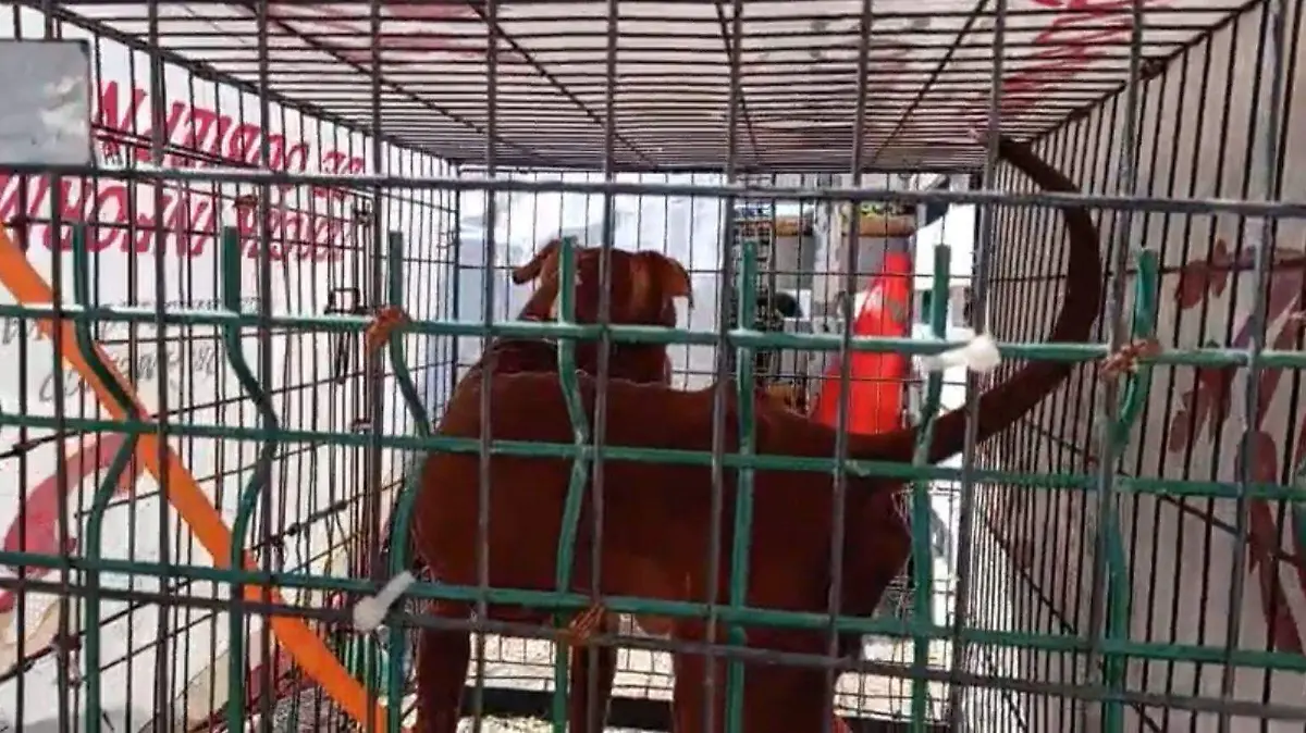 13ab9dc9-8ef8-4e88-99d2-52a9cfb87728