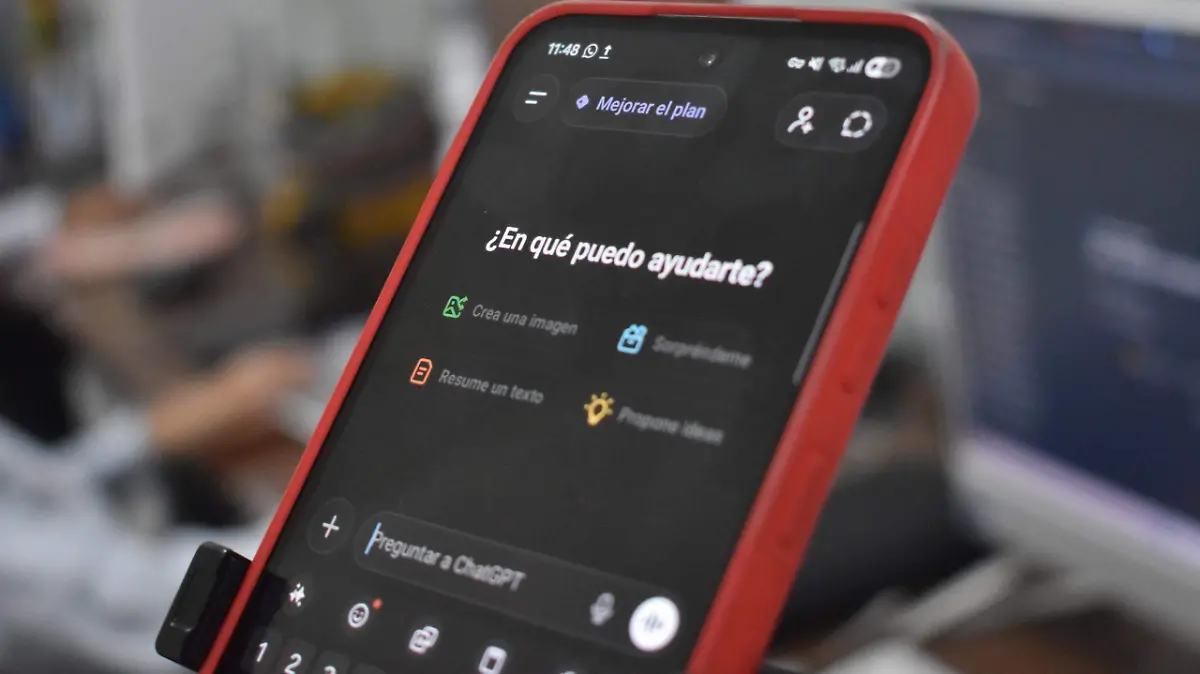 WhatsApp Image 2026-02-17 at 11.52.28 AM