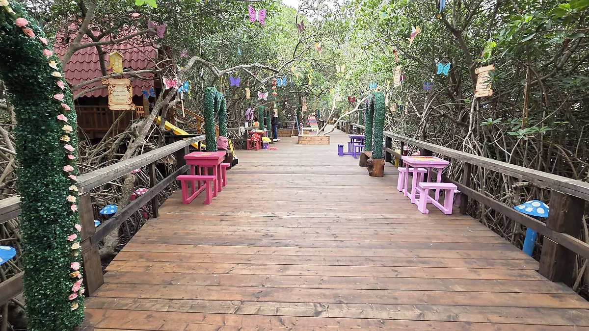Bosque de las Hadas en Pueblo Viejo atrae turismo y contribuye a la conservación ambiental