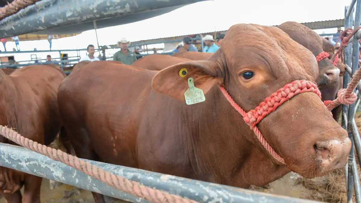 1TqnstCroztNVkOJGUkDv3HofviFuqs0Q=w2800-h1492-iv1