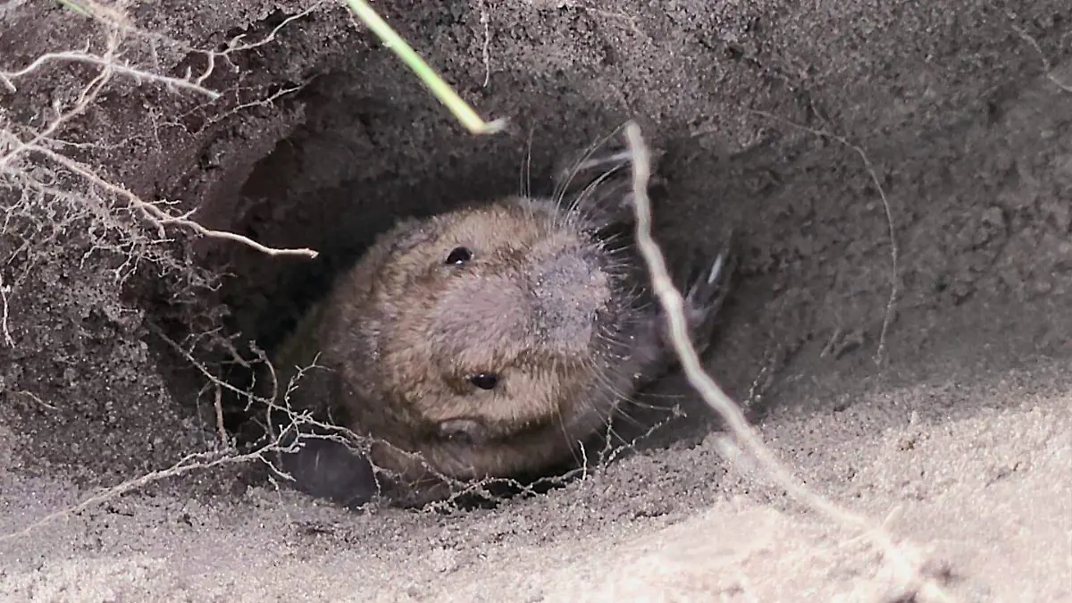 WhatsApp Image 2026-02-18 at 6.15.09 PM (2)