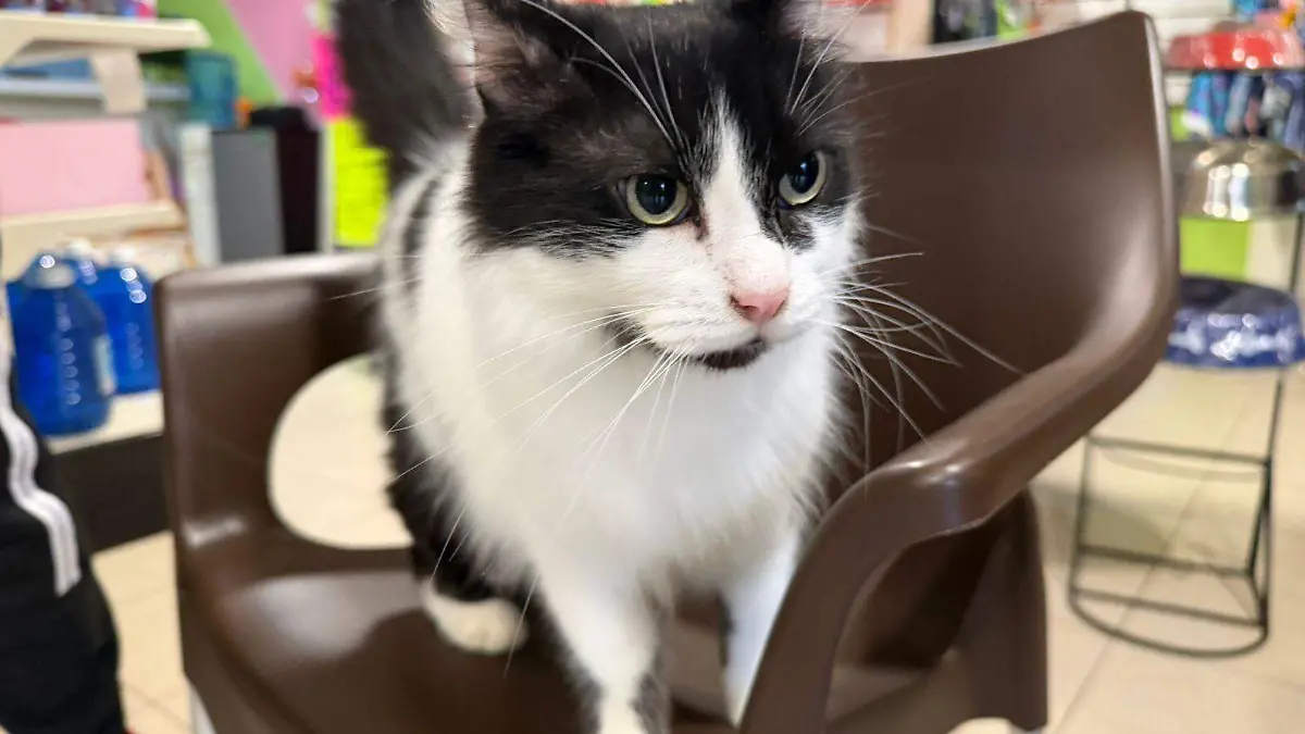 WhatsApp Image 2026-02-19 at 10.19.40 AM