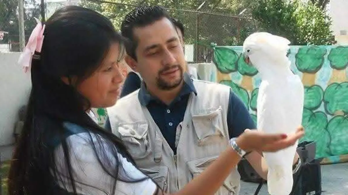 Los estudiantes pueden entrar en contacto con los ejemplares de manera segura 