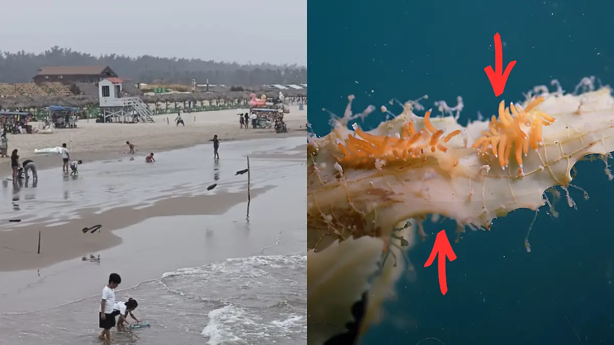 Medidas portada notas El Sol de Tampico - 2026-02-22T135359.802