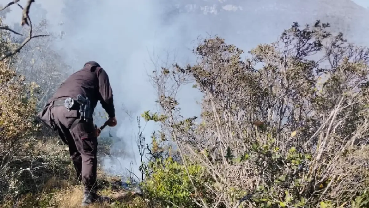 Activaron el Plan Tamaulipas para coordinar recursos humanos y materiales para enfrentar el incendio