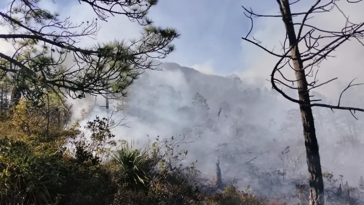 Guardia Estatal y Protección Civil coordinan acciones para frenar el avance del fuego 