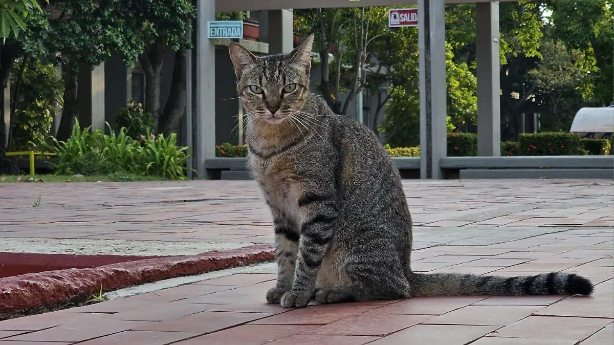 WhatsApp Image 2026-02-24 at 21.54.27