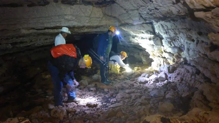 WhatsApp Image 2026-02-26 at 11.50.38 AM