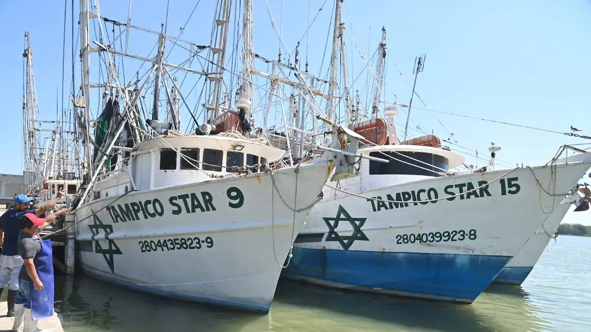 la Unión de Pescadores y Maquiladoras del Sur de Tamaulipas solicitará al Congreso local revisar la duración de la veda del camarón y gestionar una reducción en el precio del diésel