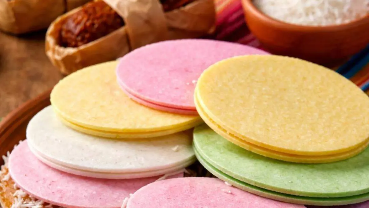 WhatsApp Image 2026-02-26 at 4.59.45 PM