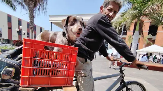 WhatsApp Image 2026-02-27 at 1.39.18 PM