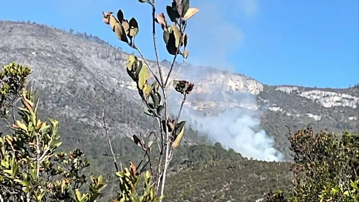 Se mantiene activo el incendio en sierra de Tamaulipas