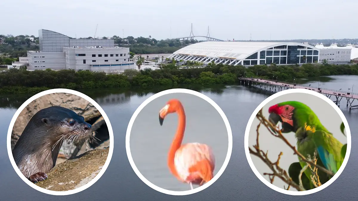 Medidas portada notas El Sol de Tampico - 2026-03-03T133137.958