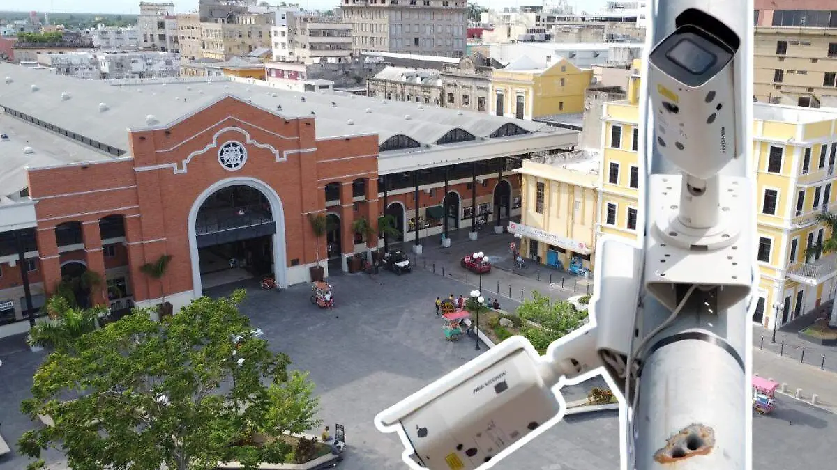 WhatsApp Image 2026-03-04 at 16.43.43