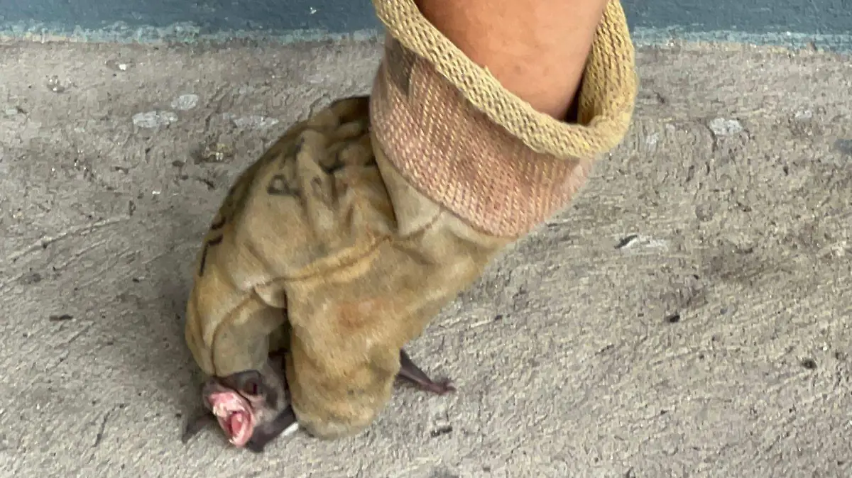 WhatsApp Image 2026-03-05 at 9.54.47 AM