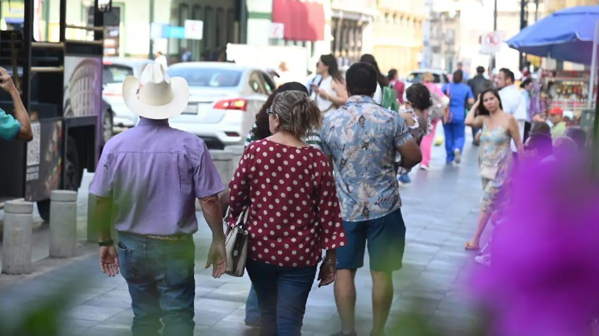 WhatsApp Image 2026-03-05 at 20.19.02