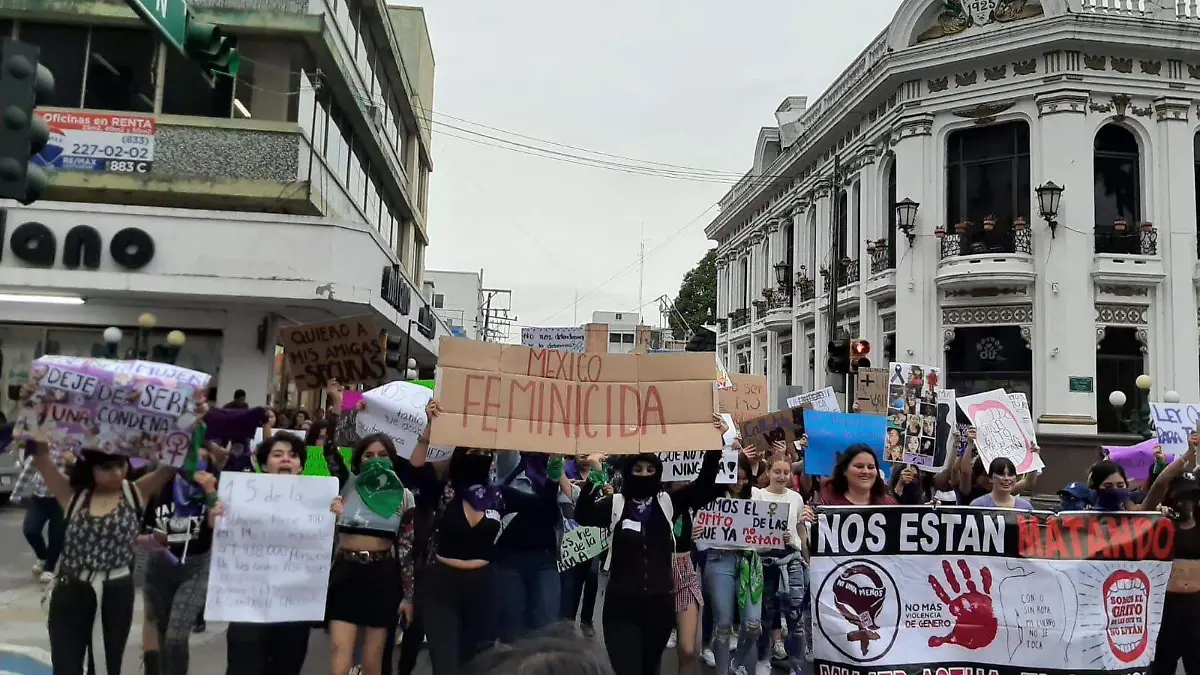 El domingo 8 de marzo de 2020, durante la marcha se leían consignas como "México Femenicida" y "Nos están matando"