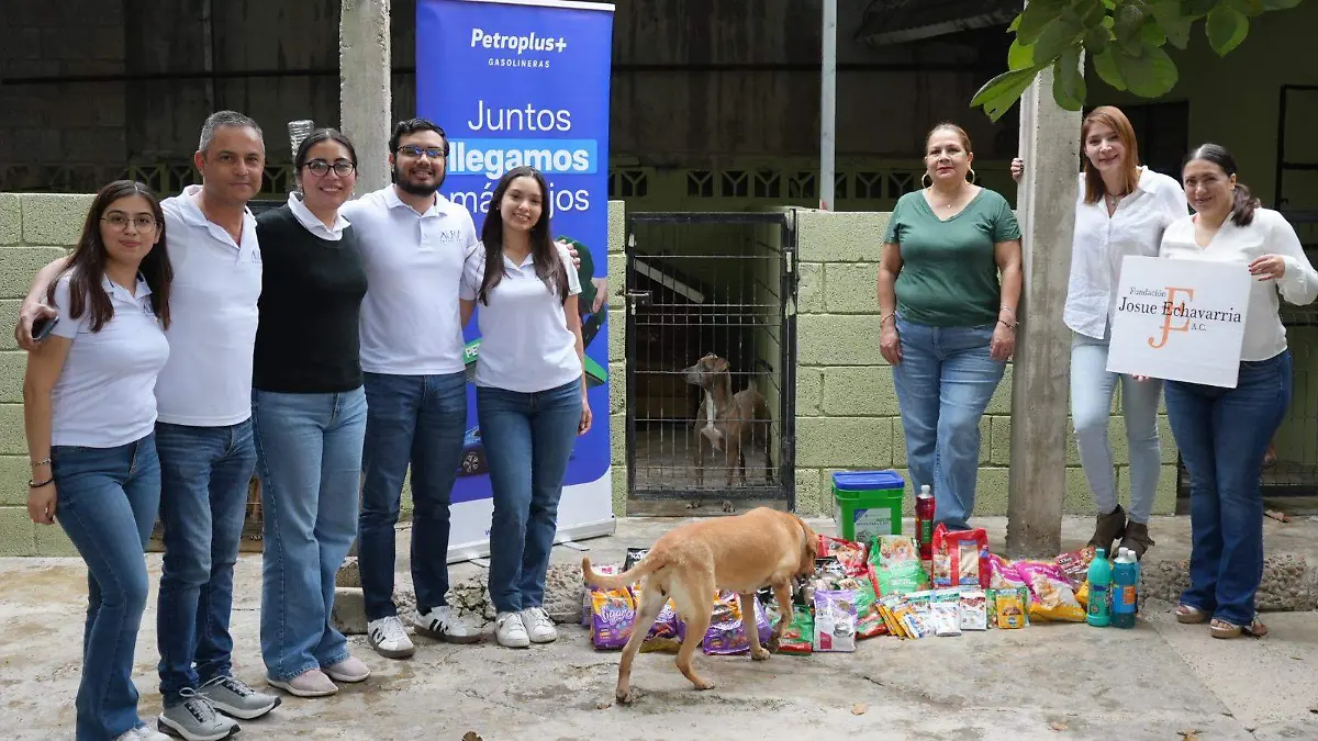 Fundación Josué Echavarría pide apoyo para refugios que cuidan a perritos y gatitos abandonados en Tampico