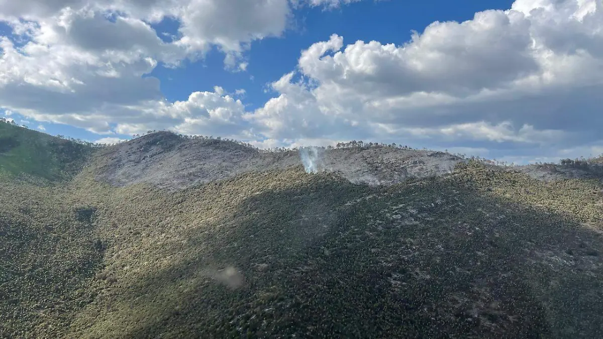 646453040_1369962158492545_3668769702275323667_n