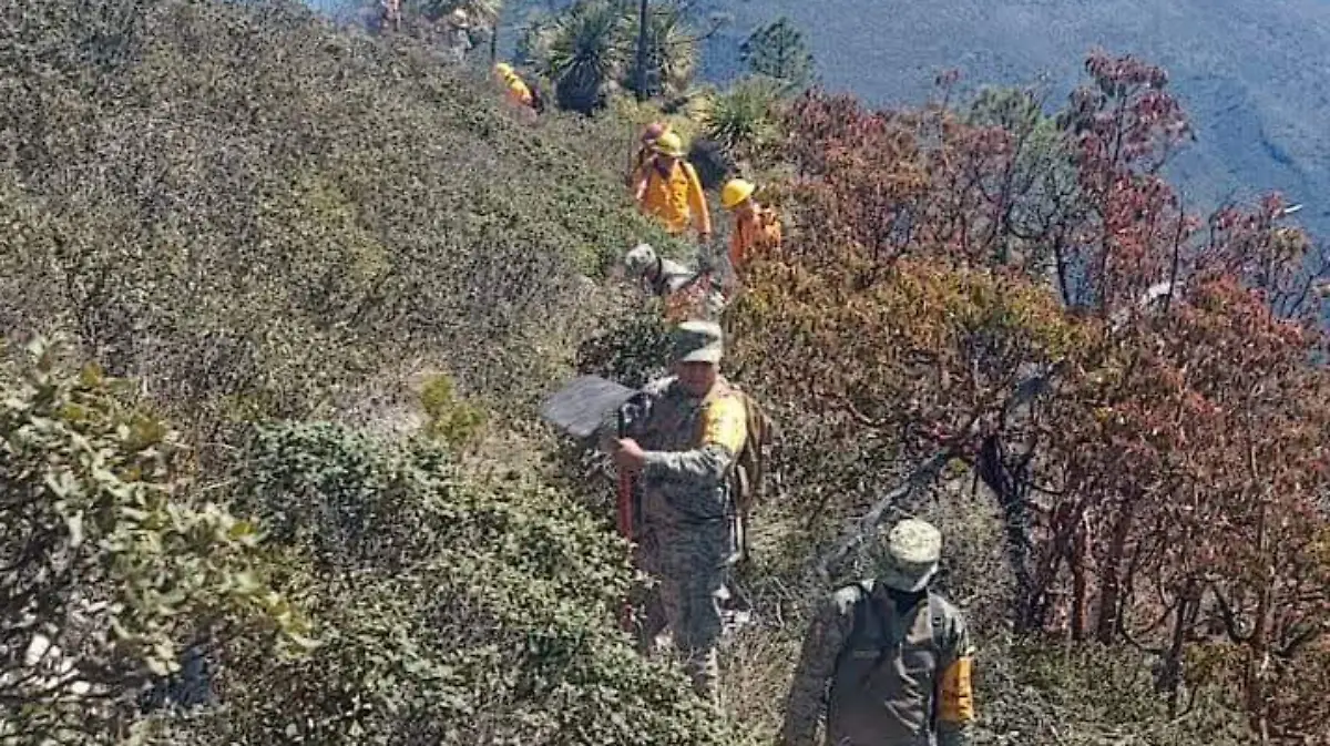 JMC-EL TRABAJO CONJUNTO