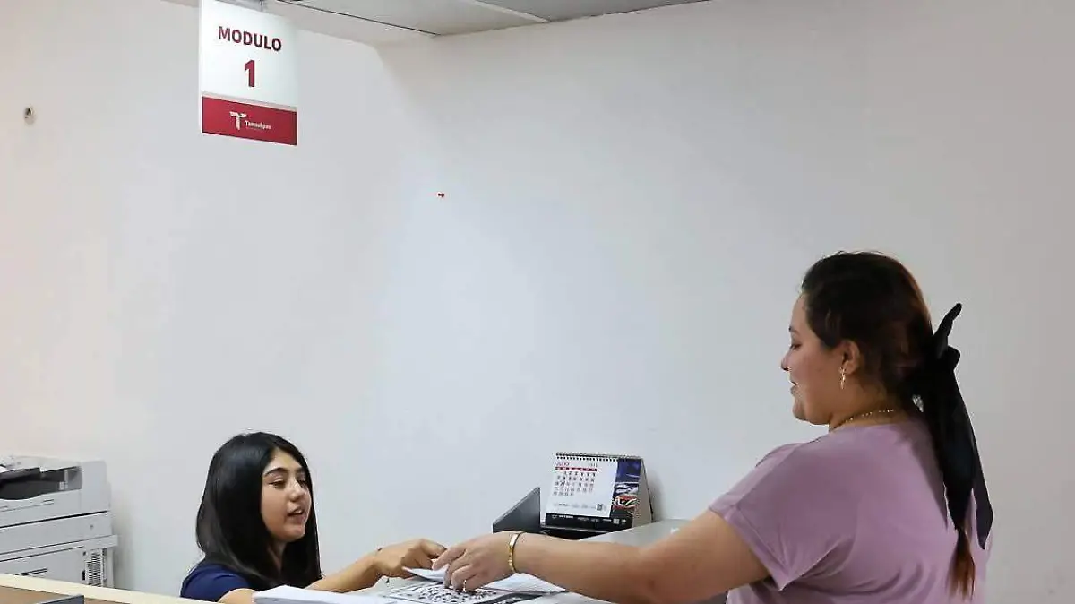 WhatsApp Image 2026-03-07 at 11.48.56