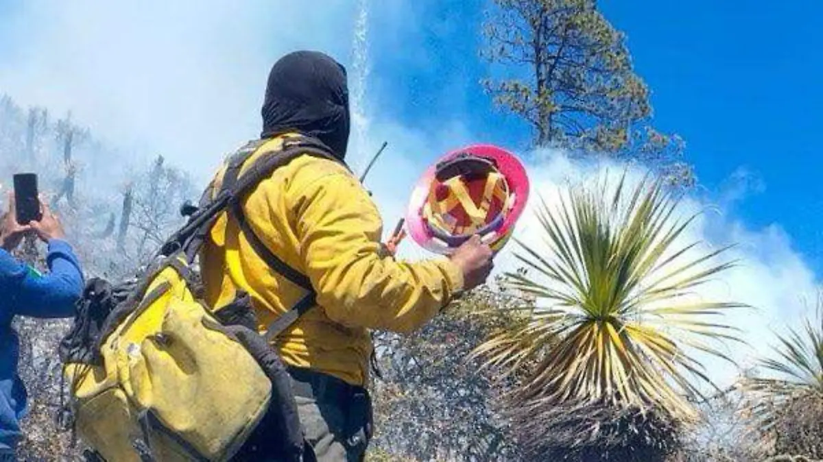 El incendio forestal en Miquihuana fue liquidado con apoyo aéreo