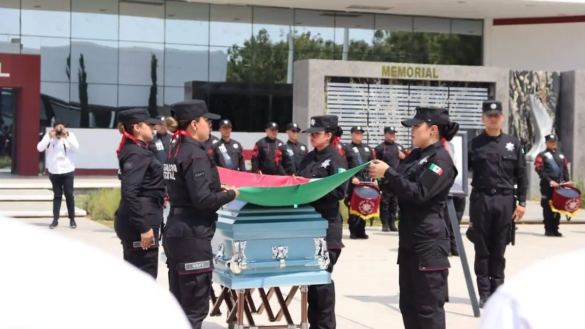 WhatsApp Image 2026-03-10 at 16.56.12