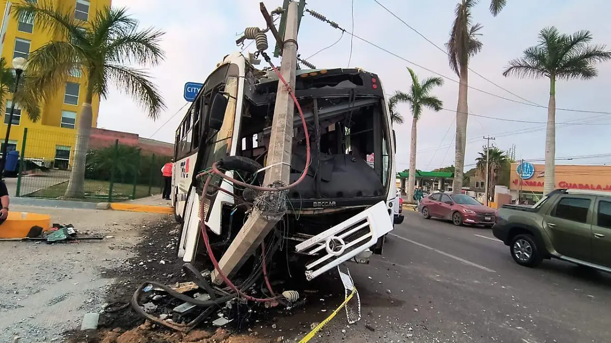 WhatsApp Image 2026-03-11 at 7.28.27 AM