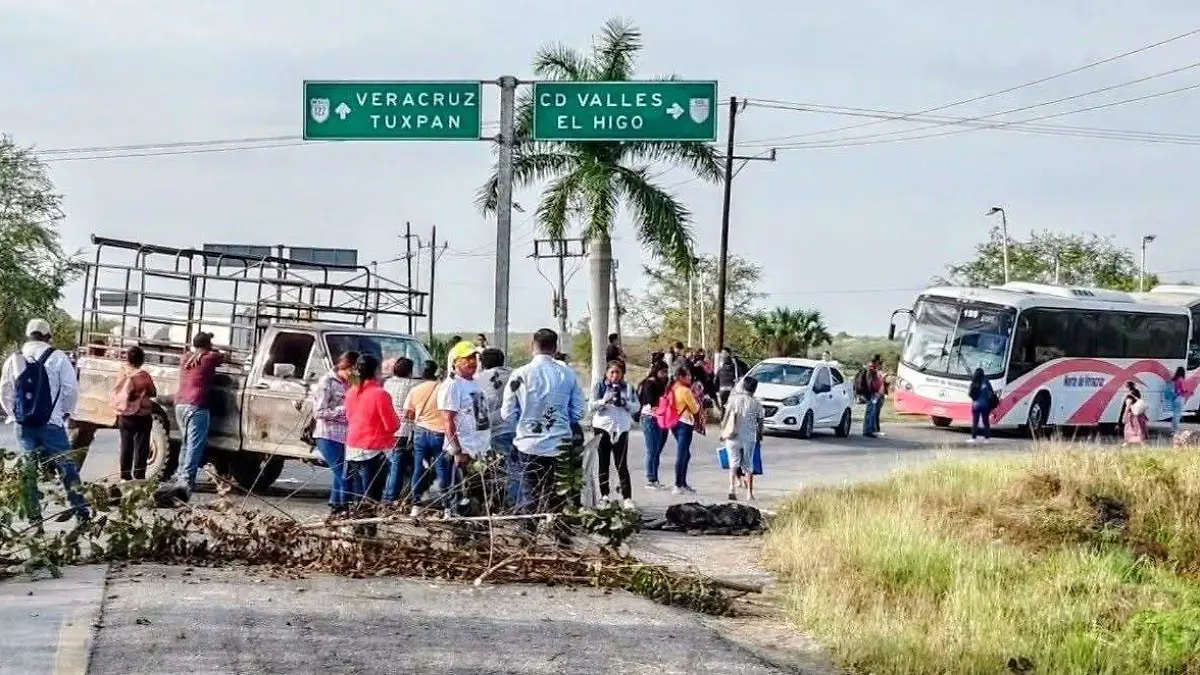 WhatsApp Image 2026-03-12 at 11.37.42