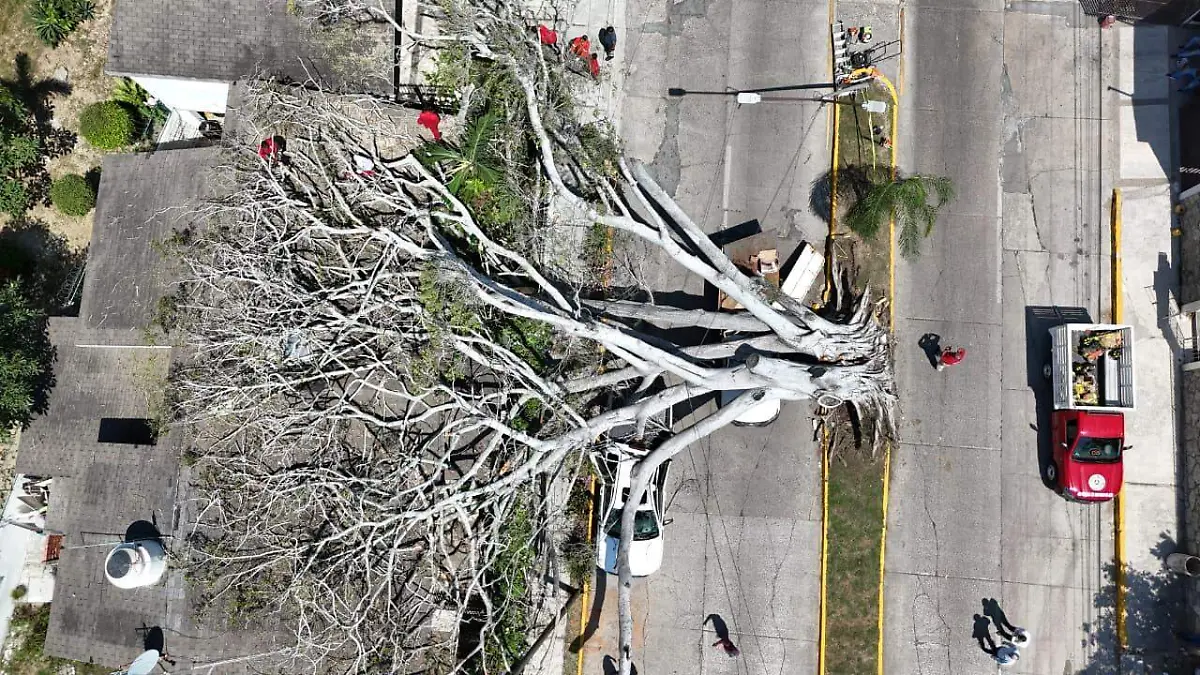 WhatsApp Image 2026-03-12 at 12.24.54