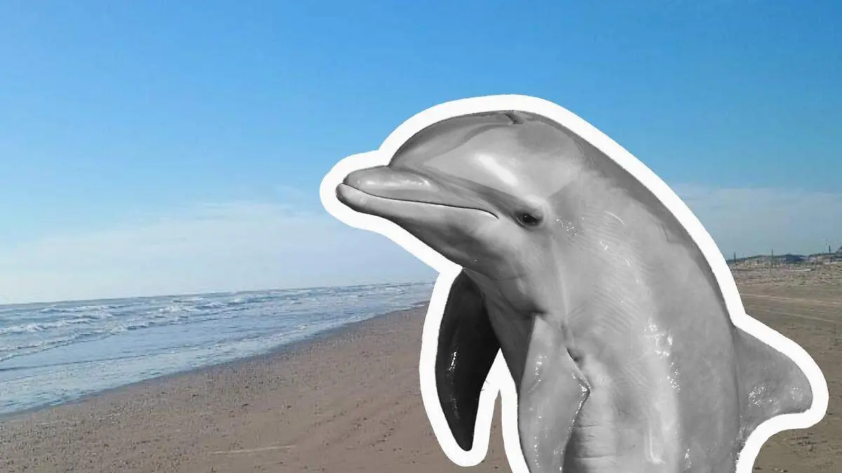 WhatsApp Image 2026-03-12 at 12.45.34 PM