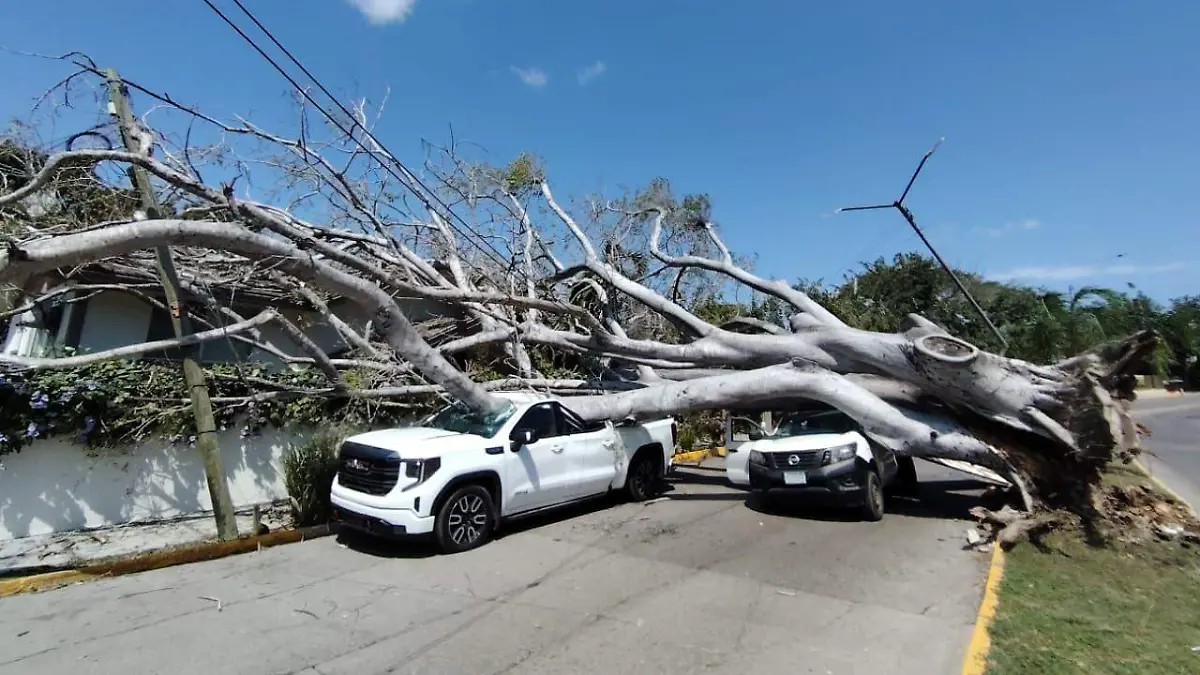 WhatsApp Image 2026-03-12 at 11.30.35 AM