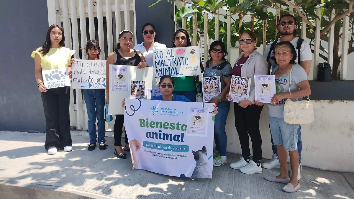 WhatsApp Image 2026-03-12 at 15.06.39