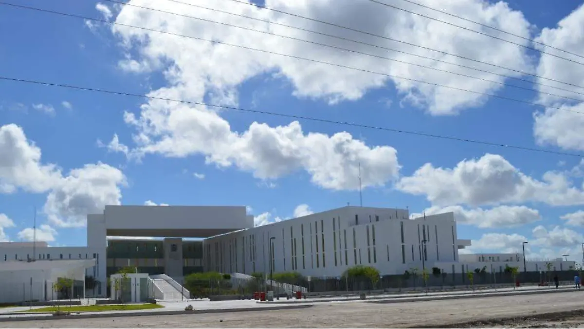 WhatsApp Image 2026-03-13 at 11.49.32 AM