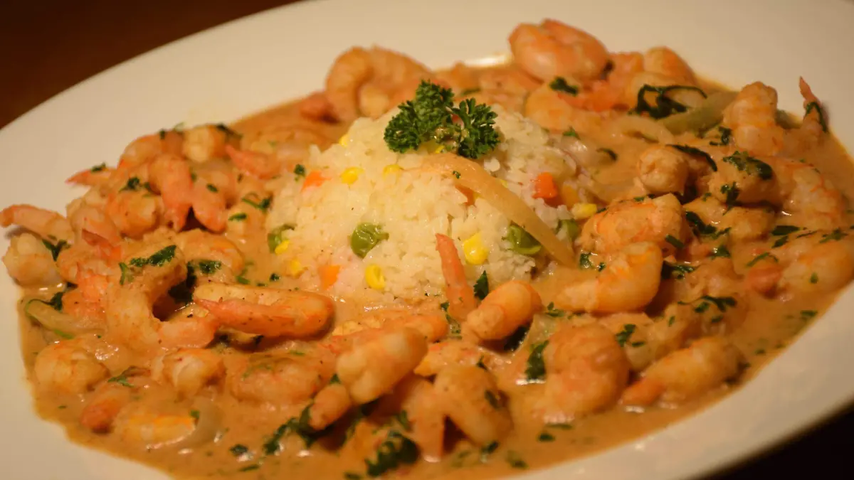 WhatsApp Image 2026-03-13 at 10.38.15 AM (1)