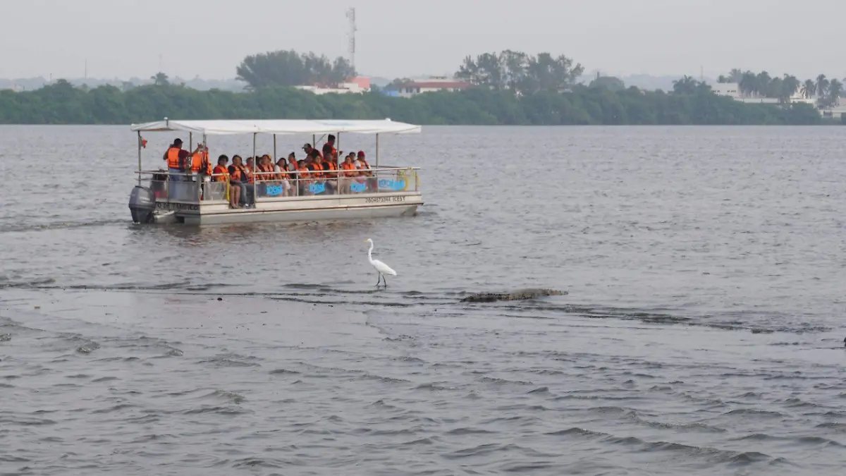 WhatsApp Image 2026-03-13 at 2.30.14 PM