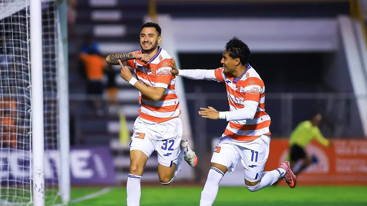 WhatsApp Image 2026-03-14 at 08.49.00