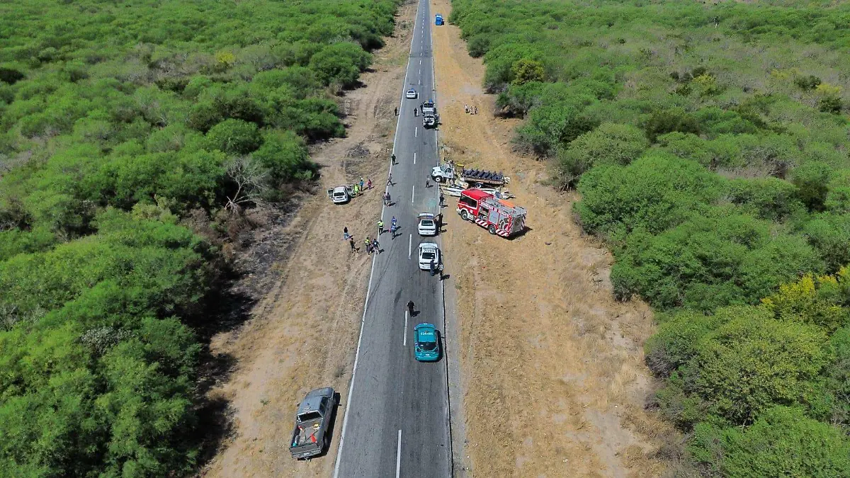 WhatsApp Image 2026-03-14 at 13.15.10