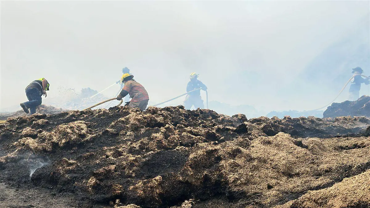 WhatsApp Image 2026-03-16 at 7.59.58 PM