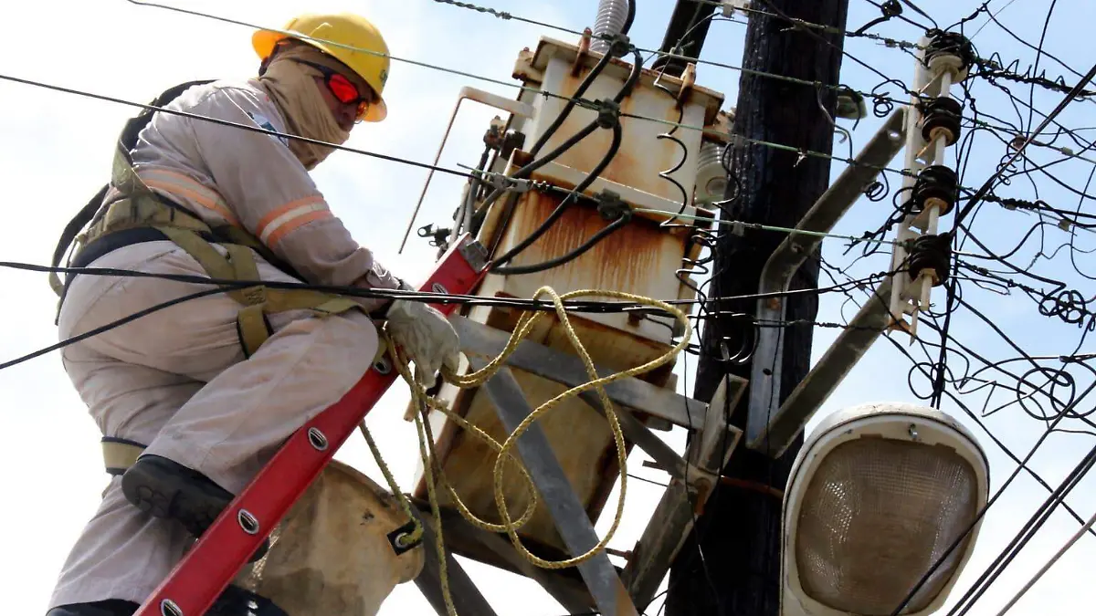 WhatsApp Image 2026-03-17 at 11.25.48 AM