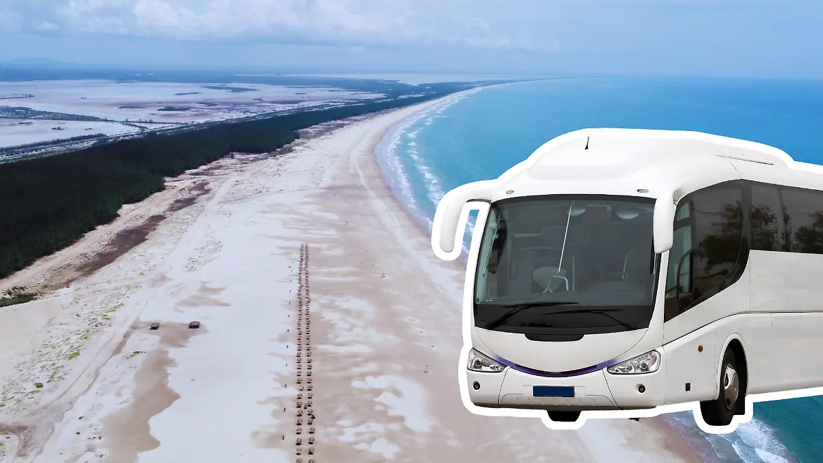 Medidas portada notas El Sol de Tampico - 2026-03-17T165454.432