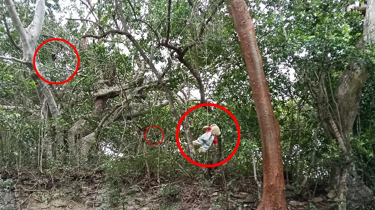 Medidas portada notas El Sol de Tampico - 2026-03-18T131819.408