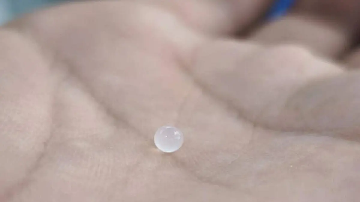 El hidrogel inteligente que busca convertirse en un aliado del campo al retener humedad