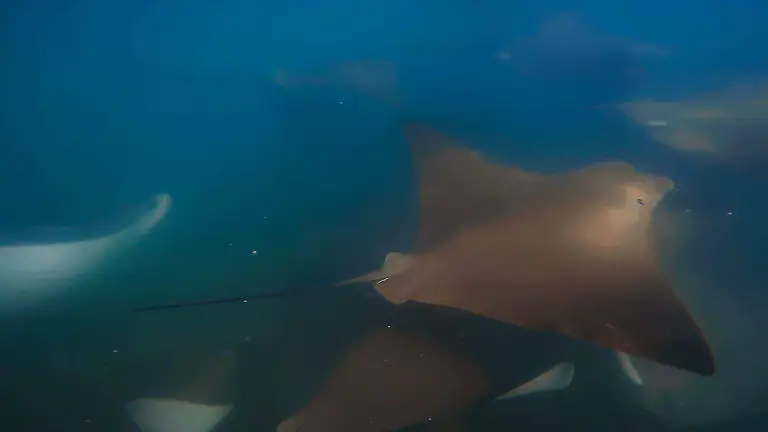 653710334_10231961772492111_6387797003166809187_n